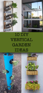 10 Creative DIY Vertical Garden Ideas