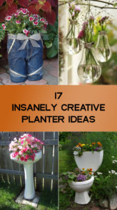 17 Insanely Creative Planter Ideas