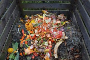 Add Eggshells to the Compost Pile