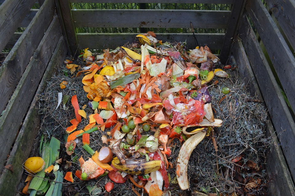 Add Eggshells to the Compost Pile