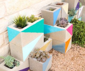 Build a colorful cinderblock succulent garden