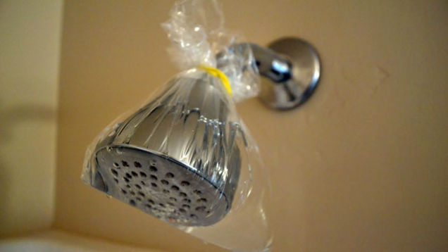 Clean a shower head with vinegar to remove hard water deposits