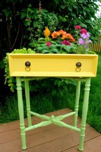 Drawer Garden