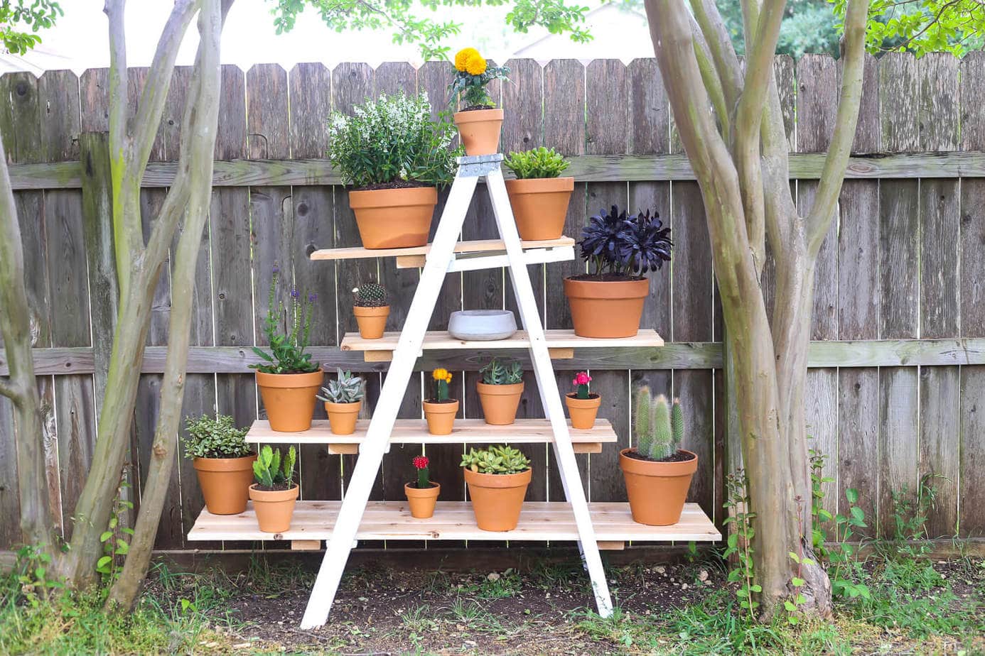 Ladder Vertical Garden