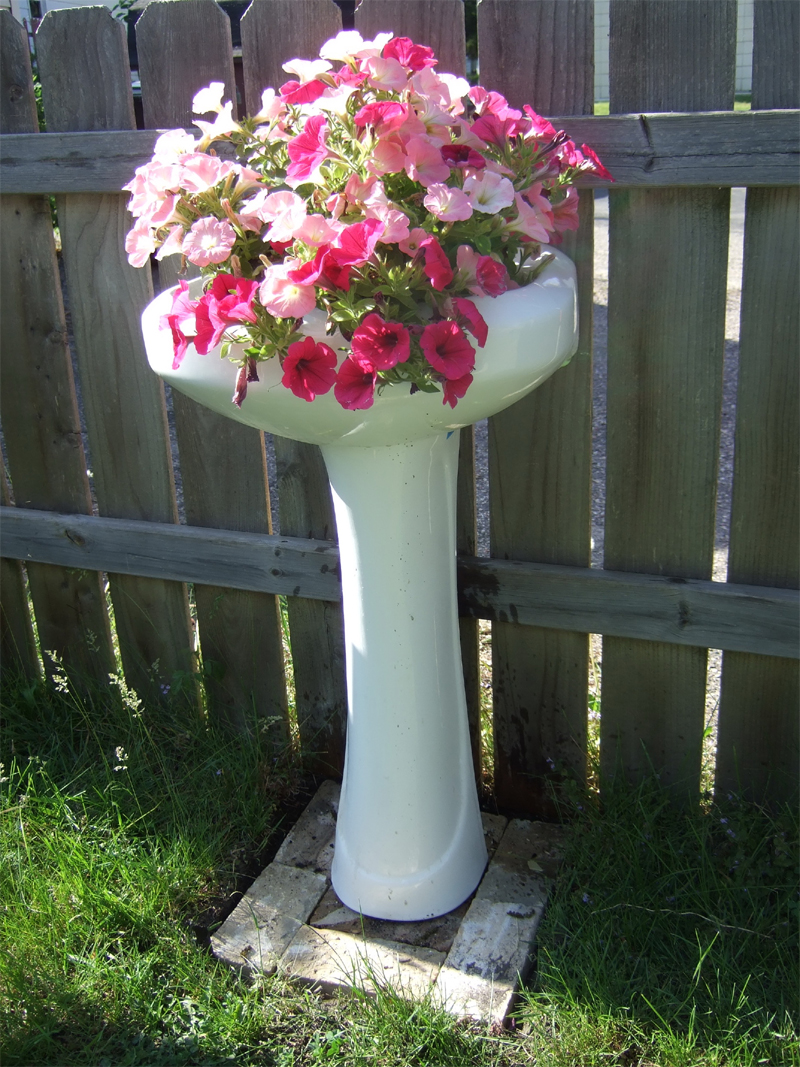 Sink Planter