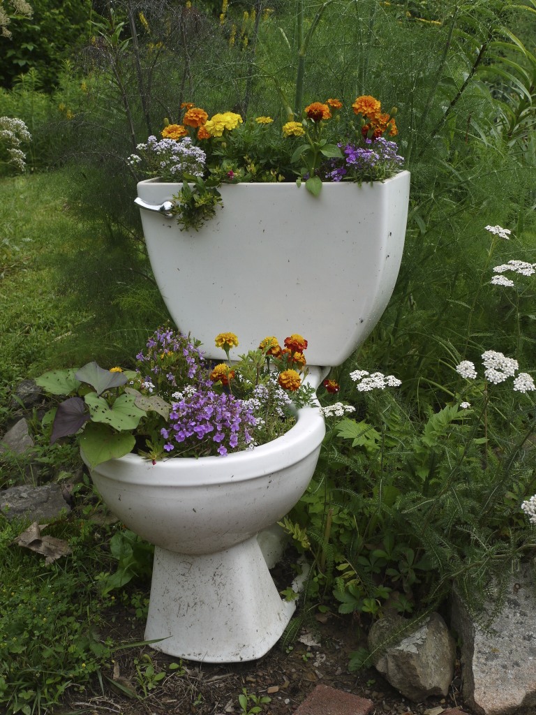 Toilet Planter