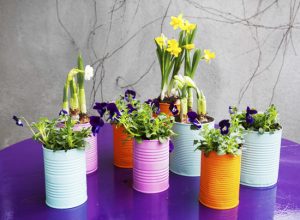 Upcycle tin cans into planters