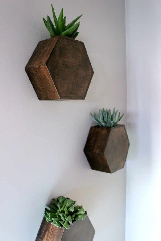 Hexagon Wall Planters