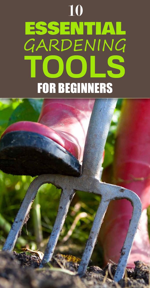 10 Essential Gardening Tools For Beginners