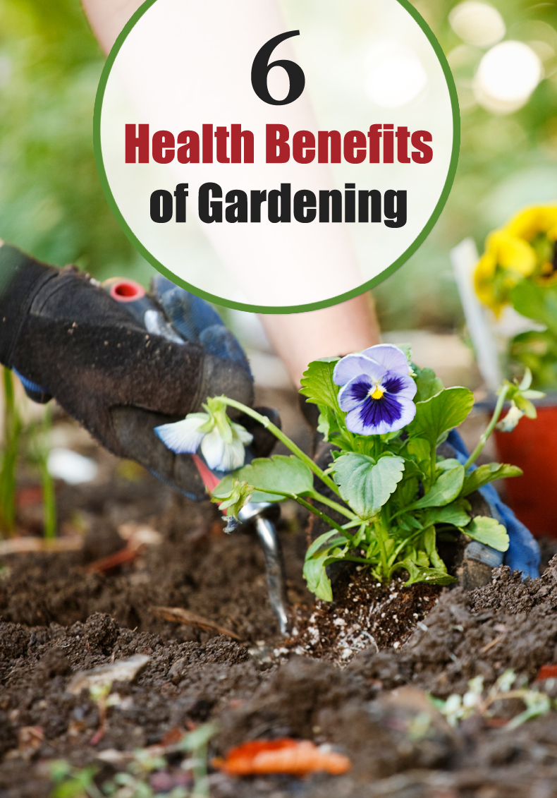6 Health Benefits of Gardening