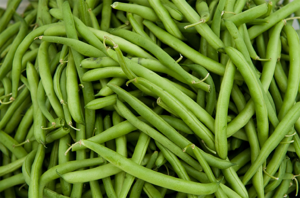  Green Beans