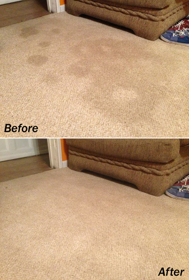 Remove grease and oil stains from the carpet with baking soda and vinegar