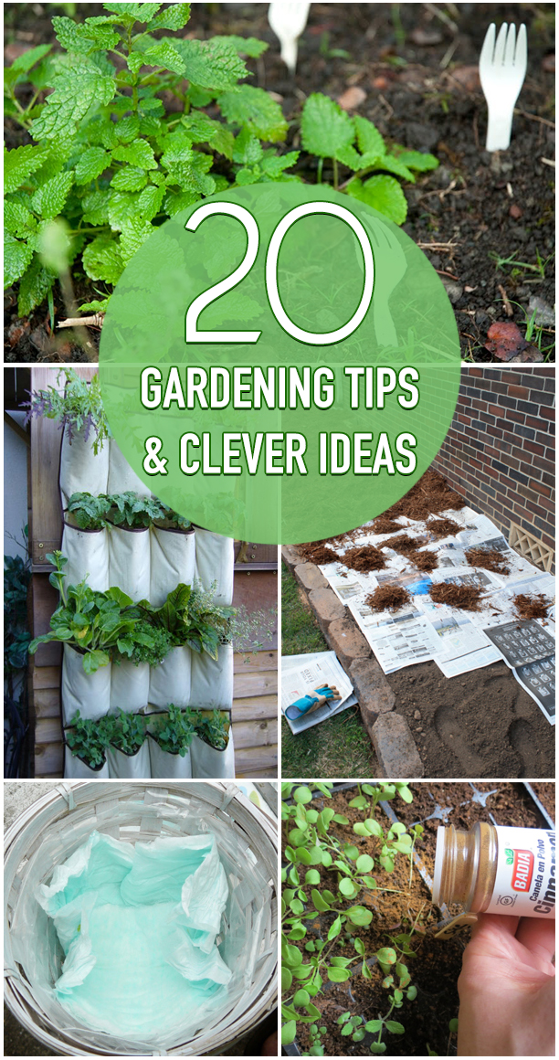 20 Gardening Tips and Clever Ideas That Every Gardener Should Know