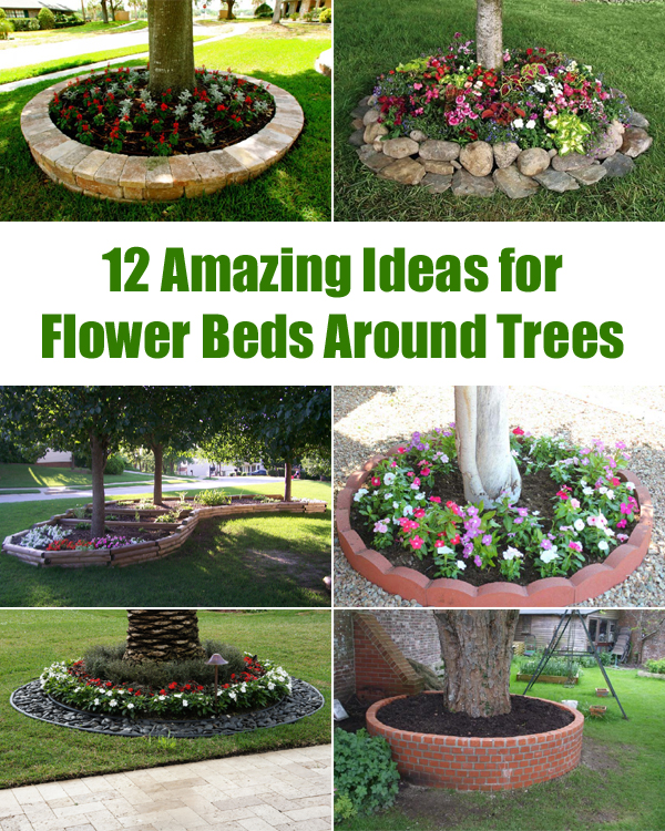 Amazing Ideas For Flower Beds Around Trees, Landscaping Ideas Around Trees Pictures