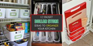 Dollar Store Ideas To Organize Your Kitchen
