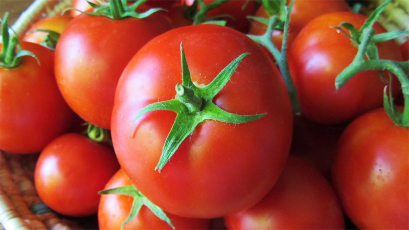 Don’t store tomatoes in plastic bags