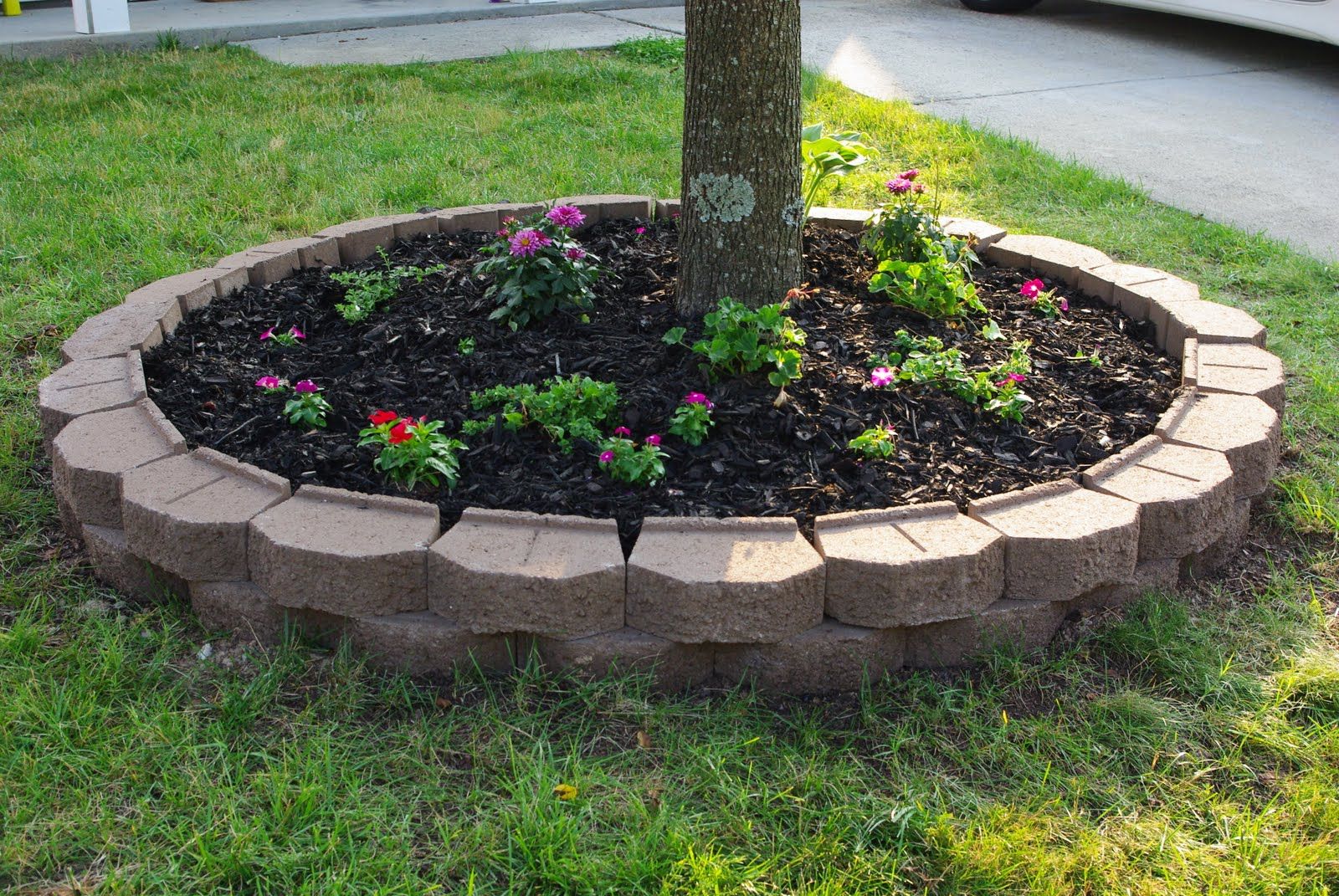 Flower Beds Around Trees