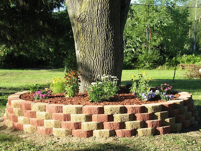 Flower Beds Around Trees