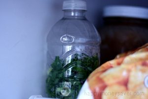 Freeze green onions in a plastic bottle