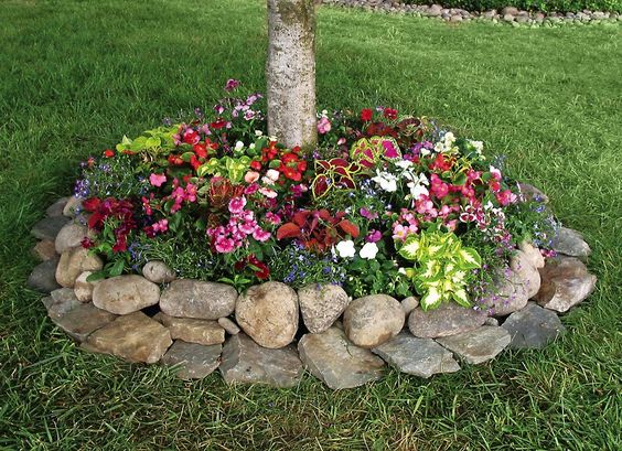 12 Amazing Ideas for Flower Beds Around Trees