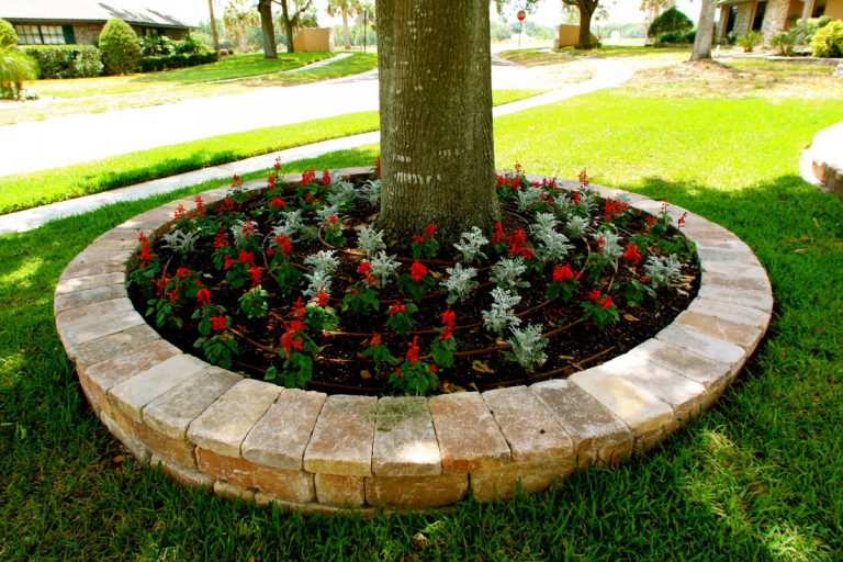 12 Amazing Ideas for Flower Beds Around Trees