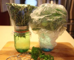 Store herbs like flowers in a vase, then cover with plastic, secure a rubberband & refrigerate