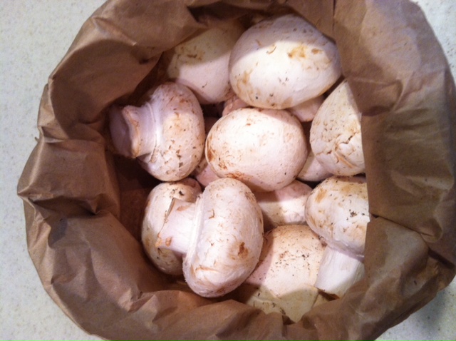 Store mushrooms in a paper bag, not plastic