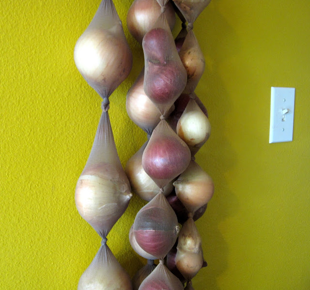 Store onions in pantryhose