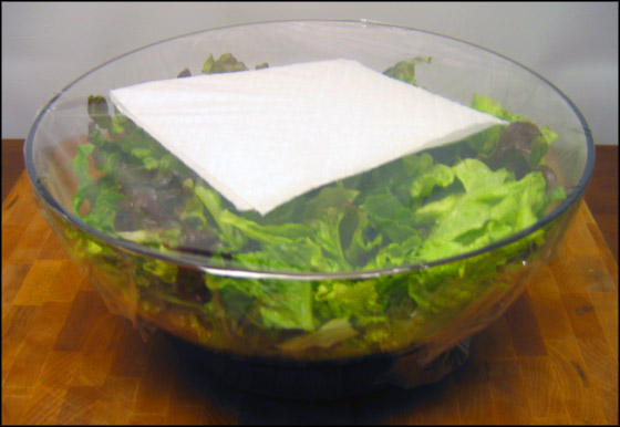 To keep your salad fresh, place paper towel on top before wrapping bowl in plastic wrap