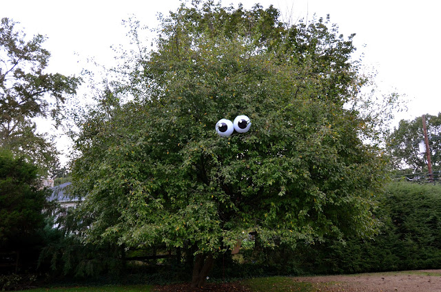 Eyeballs in a Tree