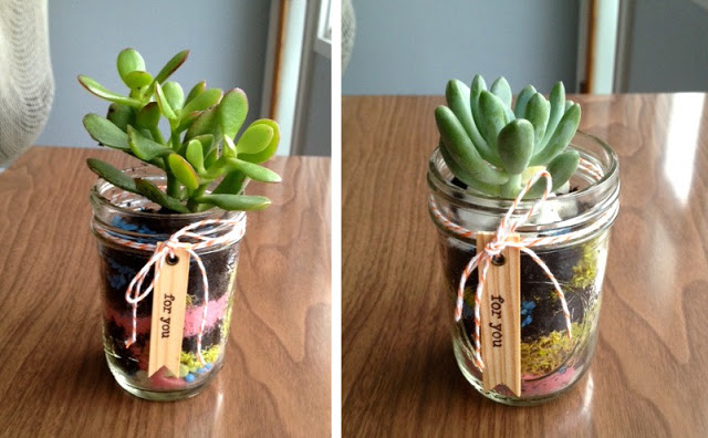 Succulent Mason Jar Gift