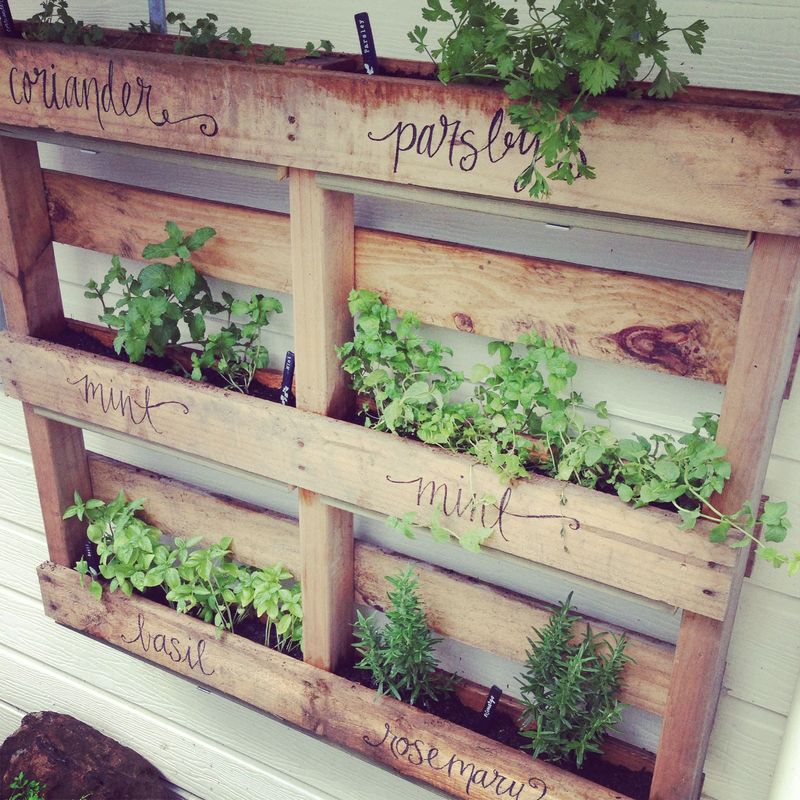 Pallet Herb Garden