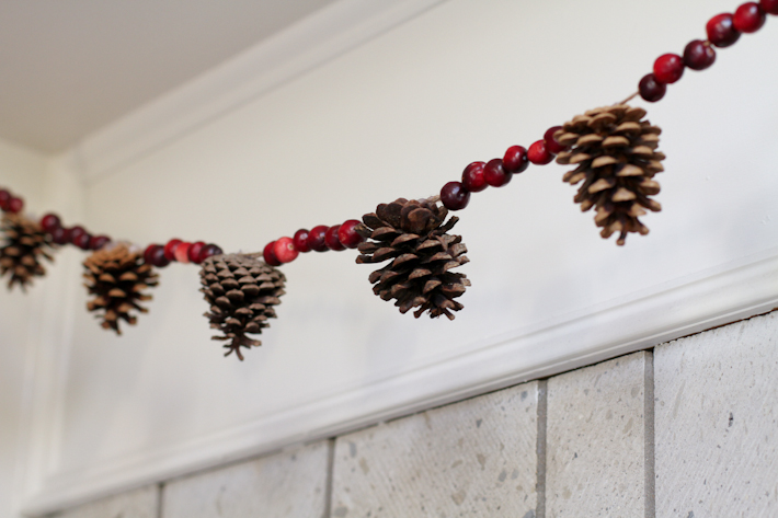 Cranberry and Pine Cone Garland