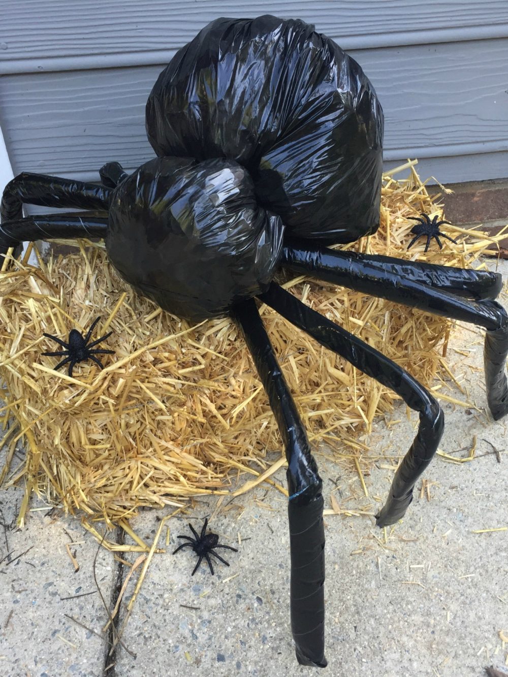 Trash Bag Spider