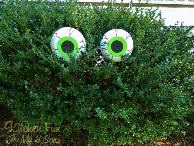 Spooky Bush Eyes