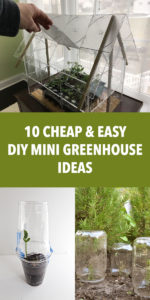 10 Cheap and Easy DIY Mini Greenhouse Ideas
