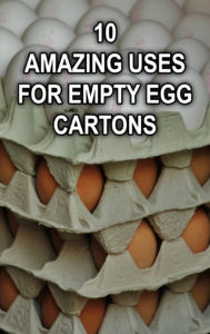 10 Amazing Uses for Empty Egg Cartons
