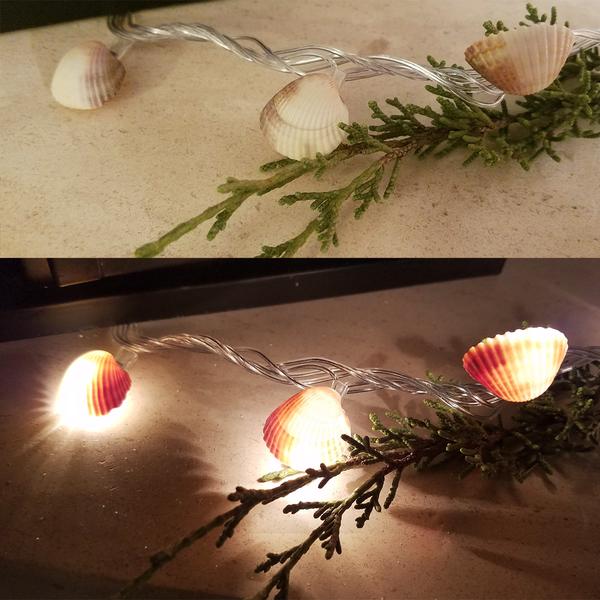 Seashell Fairy Lights