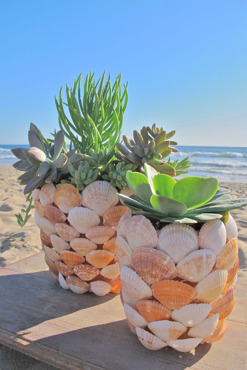 Seashell Planters