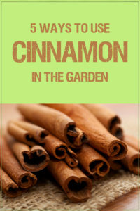 5 Ways to Use Cinnamon in the Garden