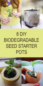 8 DIY Biodegradable Seed Starter Pots