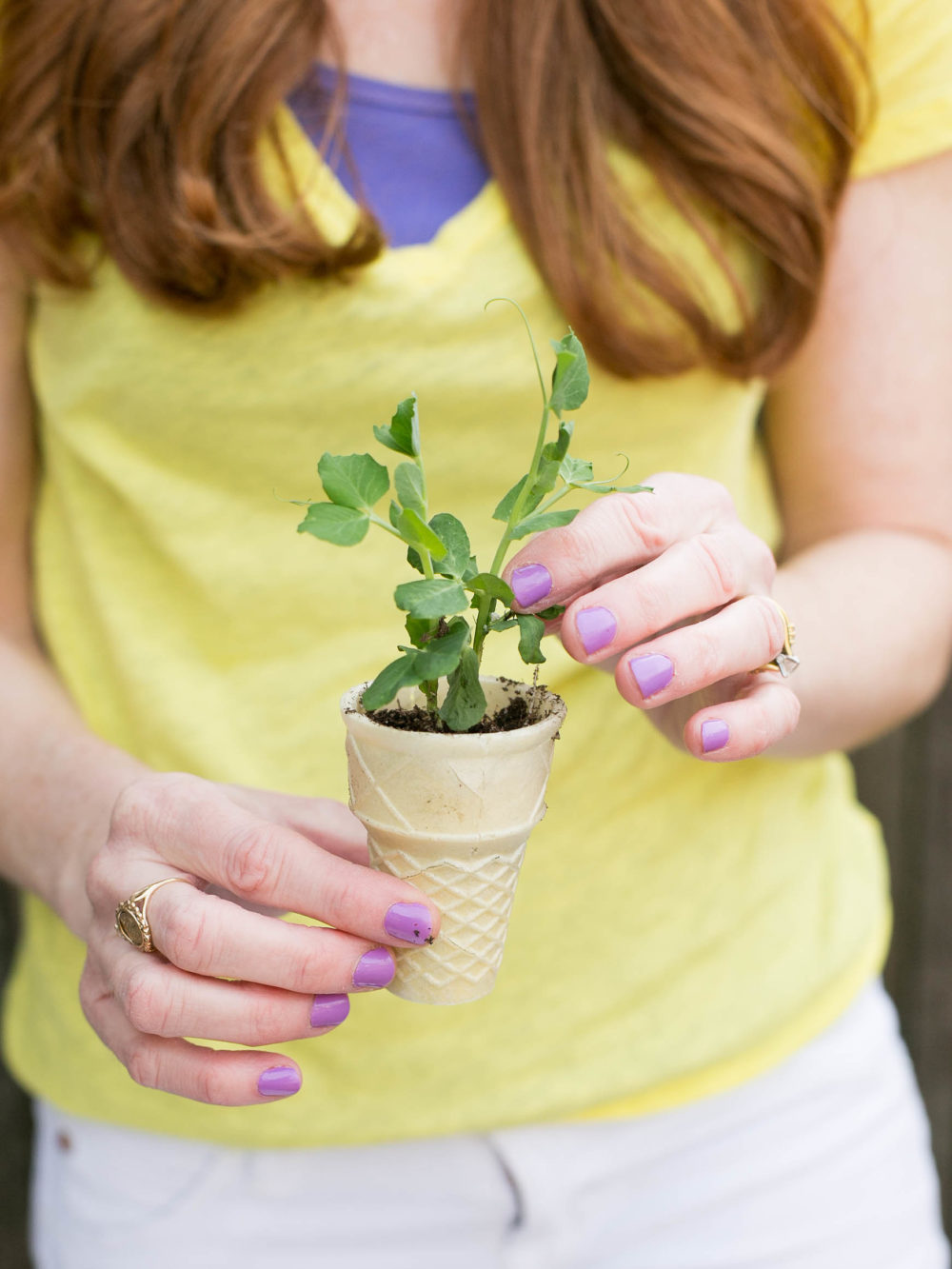 How to Make Toilet Paper Roll Seed Starter Pots - Lady Lee's Home