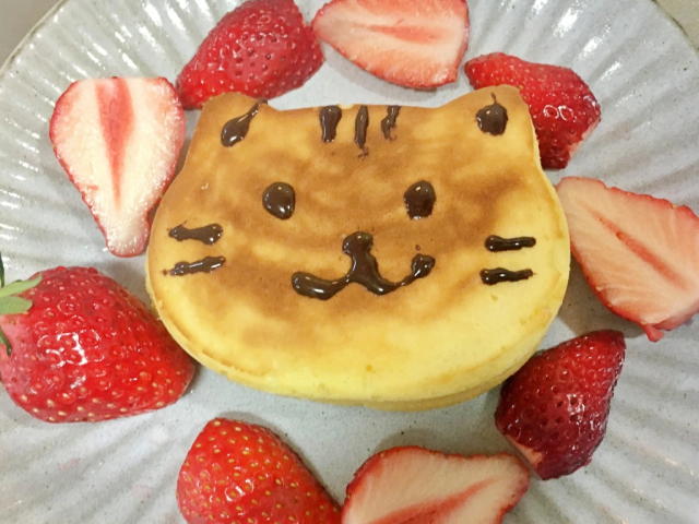 Cat pancakes