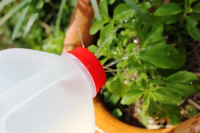 Milk Jug Watering Can